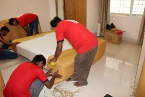 packers and mover bashundhara